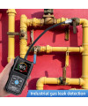 Mestek CGD-02A Yanıcı Gaz Dedektörü